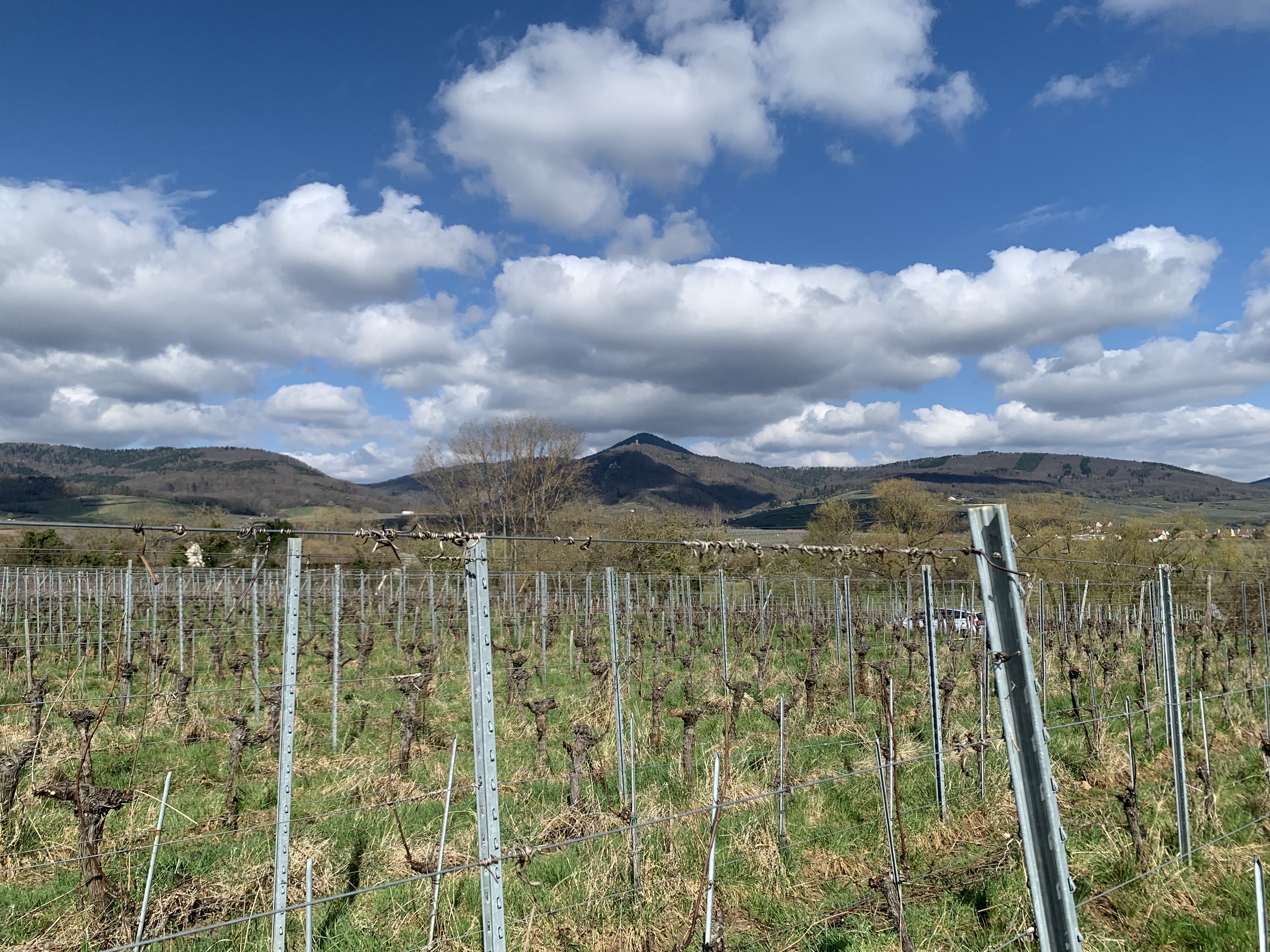 Notre histoire – Ribeauvillé